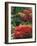 View of Butchart Garden, Victoria, British Columbia, Canada-Stuart Westmorland-Framed Photographic Print