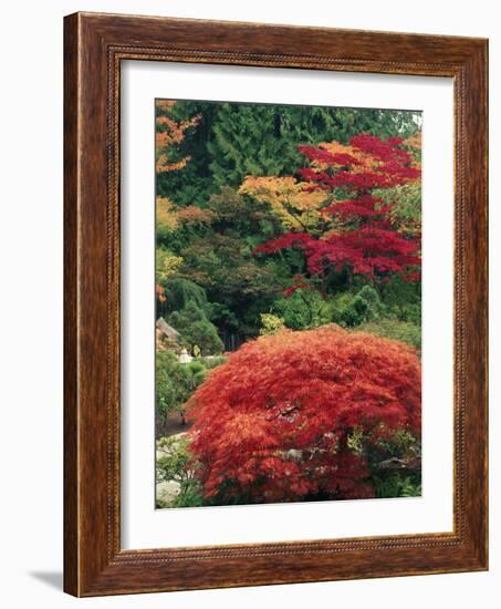 View of Butchart Garden, Victoria, British Columbia, Canada-Stuart Westmorland-Framed Photographic Print