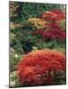 View of Butchart Garden, Victoria, British Columbia, Canada-Stuart Westmorland-Mounted Photographic Print