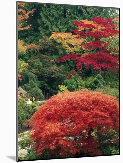 View of Butchart Garden, Victoria, British Columbia, Canada-Stuart Westmorland-Mounted Photographic Print