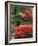 View of Butchart Garden, Victoria, British Columbia, Canada-Stuart Westmorland-Framed Photographic Print