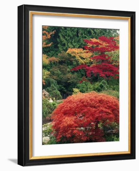 View of Butchart Garden, Victoria, British Columbia, Canada-Stuart Westmorland-Framed Photographic Print