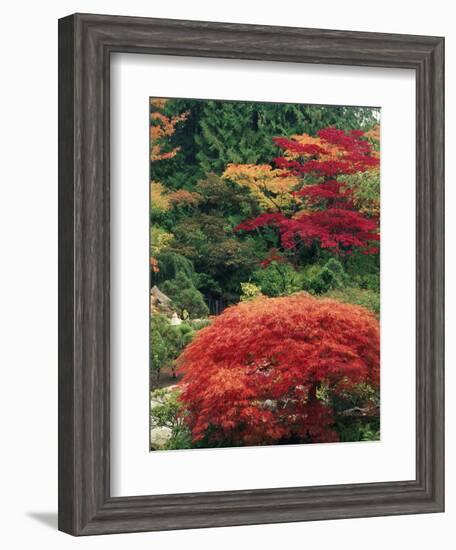 View of Butchart Garden, Victoria, British Columbia, Canada-Stuart Westmorland-Framed Photographic Print