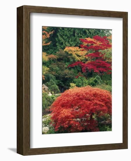 View of Butchart Garden, Victoria, British Columbia, Canada-Stuart Westmorland-Framed Photographic Print