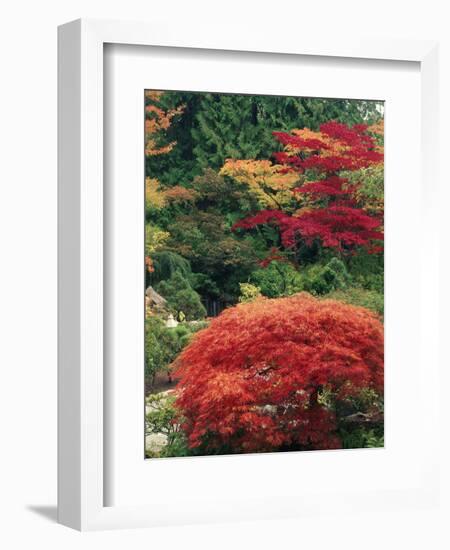 View of Butchart Garden, Victoria, British Columbia, Canada-Stuart Westmorland-Framed Photographic Print