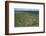 View of Cairn S in the Loughcrew hills, 36th century BC. Artist: Unknown-Unknown-Framed Photographic Print