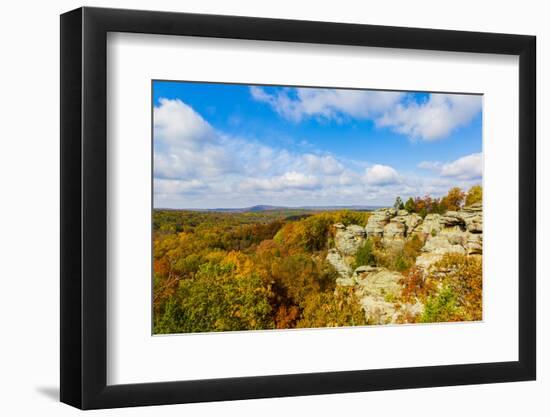 View of Camel Rock and forest, Garden of the Gods Recreation Area, Shawnee National Forest, Illi...-Panoramic Images-Framed Photographic Print