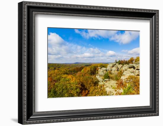 View of Camel Rock and forest, Garden of the Gods Recreation Area, Shawnee National Forest, Illi...-Panoramic Images-Framed Photographic Print