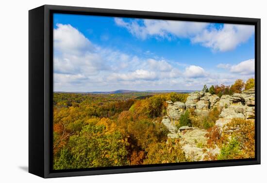 View of Camel Rock and forest, Garden of the Gods Recreation Area, Shawnee National Forest, Illi...-Panoramic Images-Framed Premier Image Canvas