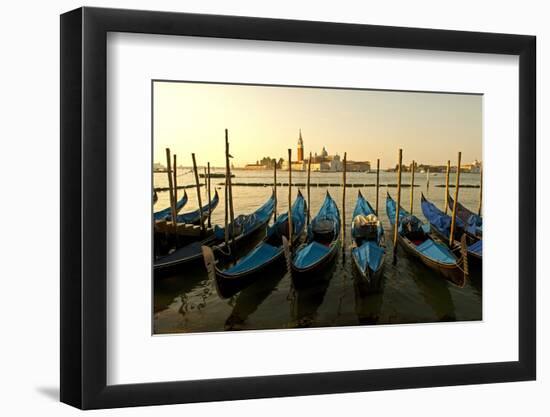 View of Canale di San Marco and with Gondolas, Venice, Italy-David Noyes-Framed Photographic Print
