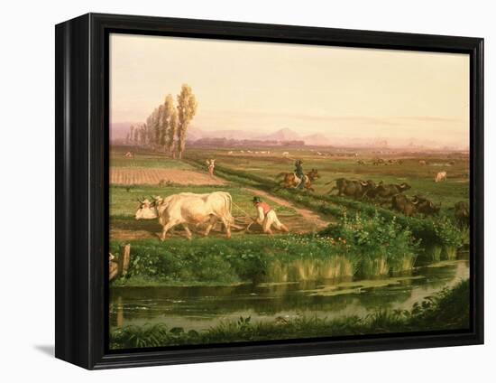 View of Carditello-Filippo Palizzi-Framed Premier Image Canvas