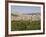 View of Castelbuono, Sicily, Italy, Europe-Martin Child-Framed Photographic Print