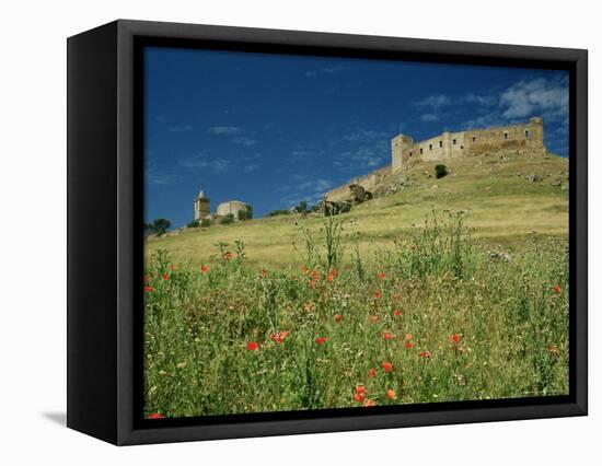 View of Castle, Medallin, Extremadura, Spain-Michael Busselle-Framed Premier Image Canvas