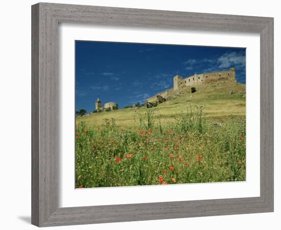 View of Castle, Medallin, Extremadura, Spain-Michael Busselle-Framed Photographic Print