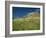 View of Castle, Medallin, Extremadura, Spain-Michael Busselle-Framed Photographic Print