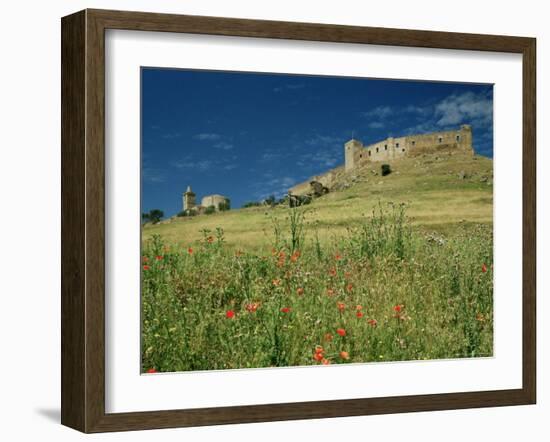 View of Castle, Medallin, Extremadura, Spain-Michael Busselle-Framed Photographic Print