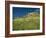 View of Castle, Medallin, Extremadura, Spain-Michael Busselle-Framed Photographic Print