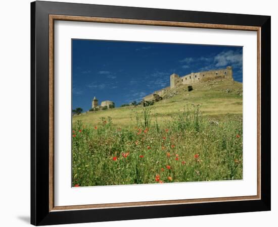 View of Castle, Medallin, Extremadura, Spain-Michael Busselle-Framed Photographic Print