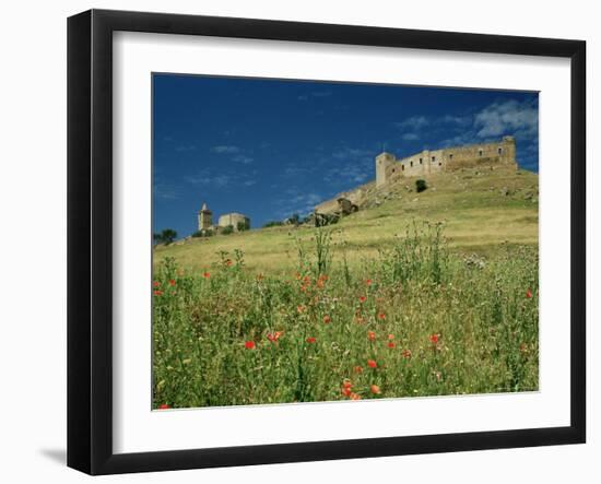 View of Castle, Medallin, Extremadura, Spain-Michael Busselle-Framed Photographic Print