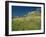 View of Castle, Medallin, Extremadura, Spain-Michael Busselle-Framed Photographic Print