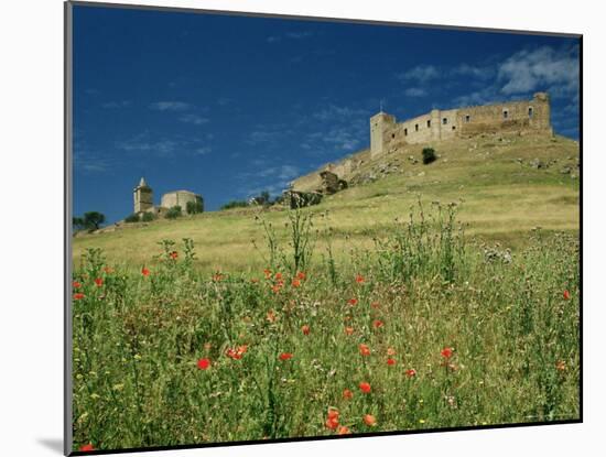 View of Castle, Medallin, Extremadura, Spain-Michael Busselle-Mounted Photographic Print