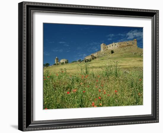 View of Castle, Medallin, Extremadura, Spain-Michael Busselle-Framed Photographic Print