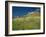 View of Castle, Medallin, Extremadura, Spain-Michael Busselle-Framed Photographic Print