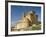 View of Castle, Turegano, Segovia Province, Castile Leon, Spain-Michael Busselle-Framed Photographic Print