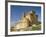 View of Castle, Turegano, Segovia Province, Castile Leon, Spain-Michael Busselle-Framed Photographic Print