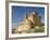 View of Castle, Turegano, Segovia Province, Castile Leon, Spain-Michael Busselle-Framed Photographic Print