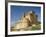 View of Castle, Turegano, Segovia Province, Castile Leon, Spain-Michael Busselle-Framed Photographic Print