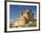 View of Castle, Turegano, Segovia Province, Castile Leon, Spain-Michael Busselle-Framed Photographic Print