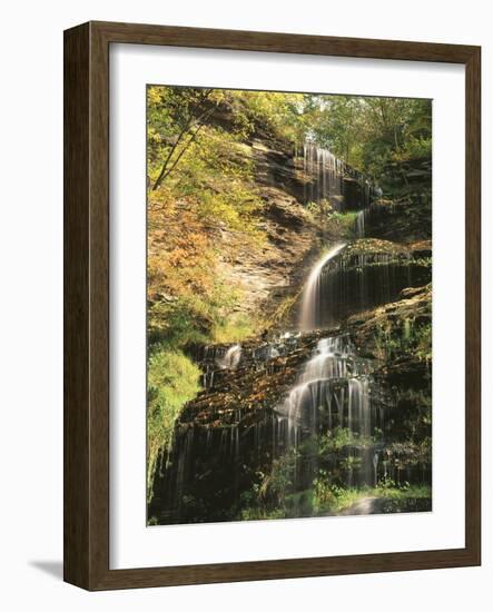 View of Cathedral Falls in Autumn, West Virginia, USA-Adam Jones-Framed Photographic Print