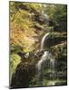 View of Cathedral Falls in Autumn, West Virginia, USA-Adam Jones-Mounted Photographic Print