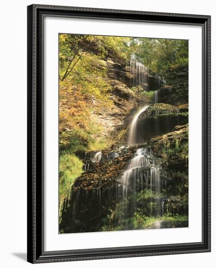 View of Cathedral Falls in Autumn, West Virginia, USA-Adam Jones-Framed Photographic Print