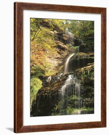 View of Cathedral Falls in Autumn, West Virginia, USA-Adam Jones-Framed Photographic Print