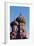 View of Cathedral of Protection of Most Holy Theotokos on Moat-null-Framed Giclee Print