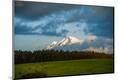 Photographic Print
