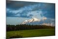 Photographic Print