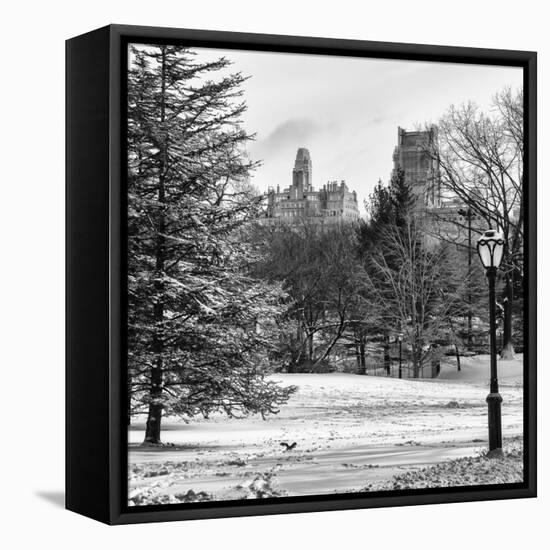 View of Central Park with a Squirrel running around on the Snow-Philippe Hugonnard-Framed Premier Image Canvas