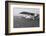 View of Charles Lindbergh's Airplane the Spirit of St. Louis-null-Framed Photographic Print