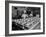 View of Chefs Preparing Food from a Story Concerning United Airlines-Carl Mydans-Framed Photographic Print