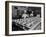 View of Chefs Preparing Food from a Story Concerning United Airlines-Carl Mydans-Framed Photographic Print