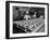 View of Chefs Preparing Food from a Story Concerning United Airlines-Carl Mydans-Framed Photographic Print