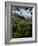 View of Church of San Francesco, Assisi, UNESCO World Heritage Site, Umbria, Italy, Europe-Charles Bowman-Framed Photographic Print