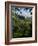 View of Church of San Francesco, Assisi, UNESCO World Heritage Site, Umbria, Italy, Europe-Charles Bowman-Framed Photographic Print