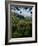 View of Church of San Francesco, Assisi, UNESCO World Heritage Site, Umbria, Italy, Europe-Charles Bowman-Framed Photographic Print