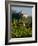 View of Church of San Francesco, Assisi, UNESCO World Heritage Site, Umbria, Italy, Europe-Charles Bowman-Framed Photographic Print