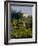 View of Church of San Francesco, Assisi, UNESCO World Heritage Site, Umbria, Italy, Europe-Charles Bowman-Framed Photographic Print