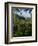 View of Church of San Francesco, Assisi, UNESCO World Heritage Site, Umbria, Italy, Europe-Charles Bowman-Framed Photographic Print